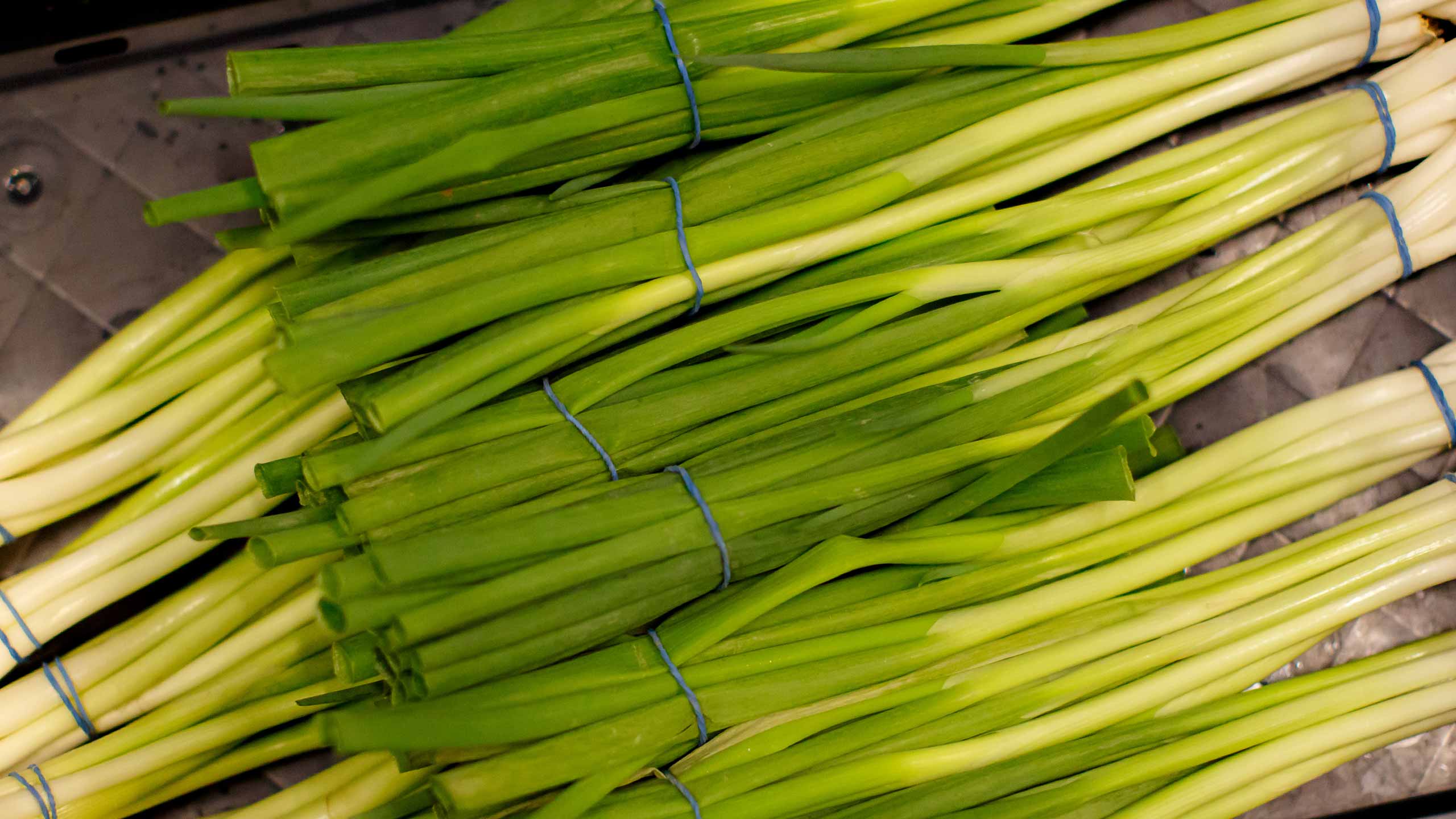 Nobel Groenten & Fruit - Home
